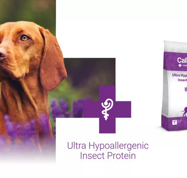 VD Ultra Hypoallergenic Insect Protein for dogs