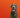 How do I know if my dog has a food allergy?
