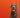 How do I know if my dog has a food allergy?