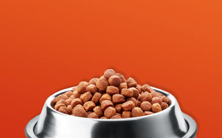 What is Hypoallergenic Dog Food?