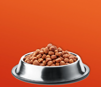 What is Hypoallergenic Dog Food?
