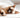 Top 5 Nutritional Mistakes Cat Owners Make And How To Avoid Them