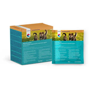 CVET Oral Rehydration Sachets 30g 10pk