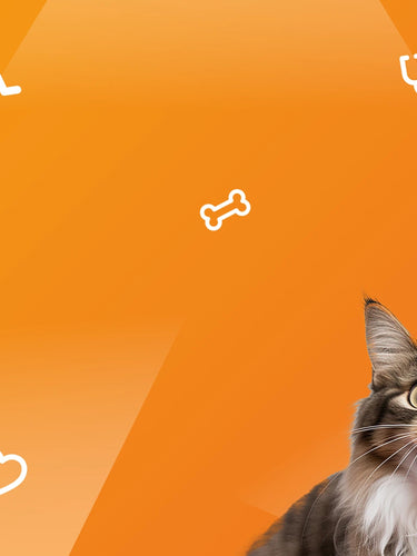 Cat and Dog Orange Banner Image