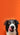 Dog Licking its Lips