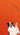 Mobile Image of Dog Jumping