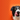 Banner Image of Border Collie