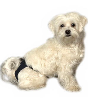 BUSTER Sanitary Pants